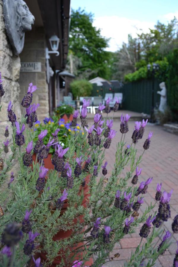 Castle Green Bed And Breakfast Ashbourne  Exterior foto