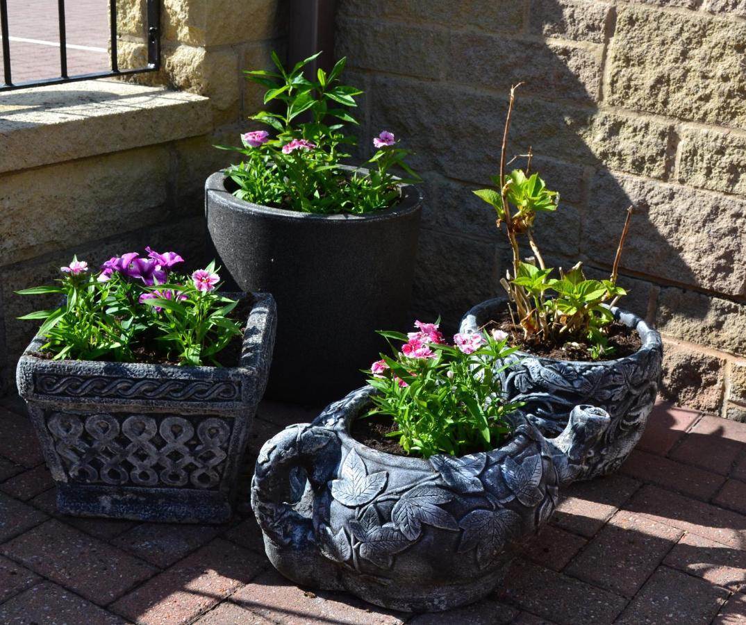 Castle Green Bed And Breakfast Ashbourne  Exterior foto